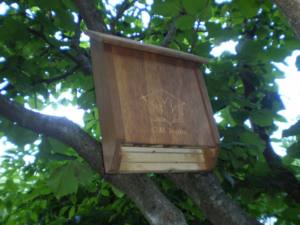 bat-box-e1430230149615